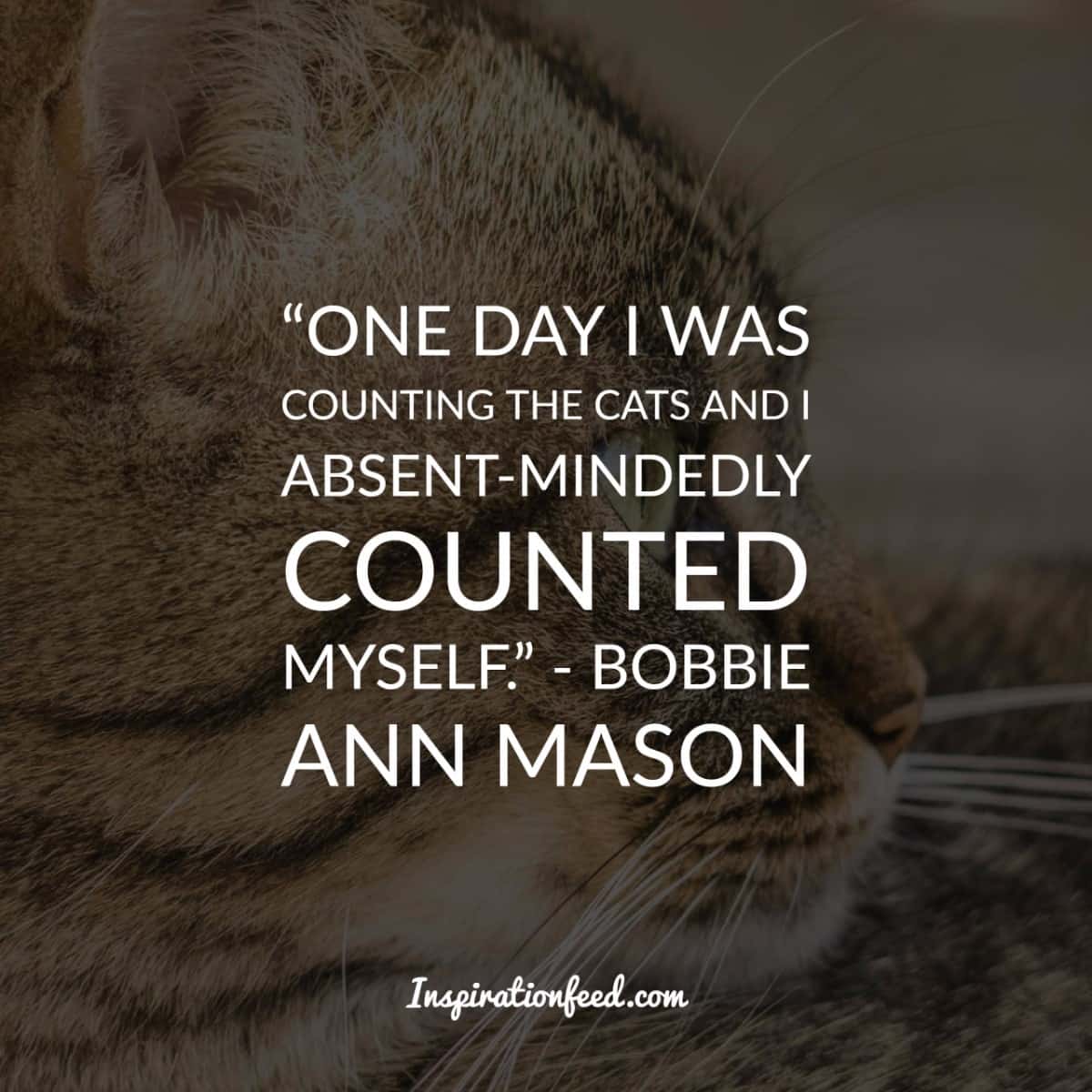 40 Precious Quotes About Cats That Will Brighten Your Day - Inspirationfeed