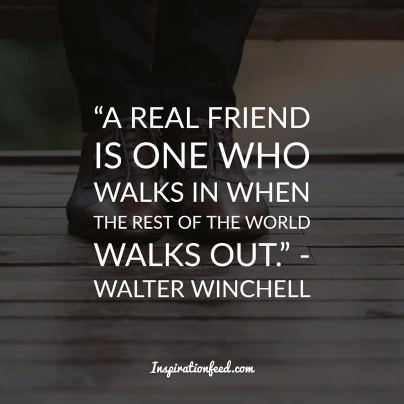 Friendship Quotes to Celebrate Your Friends