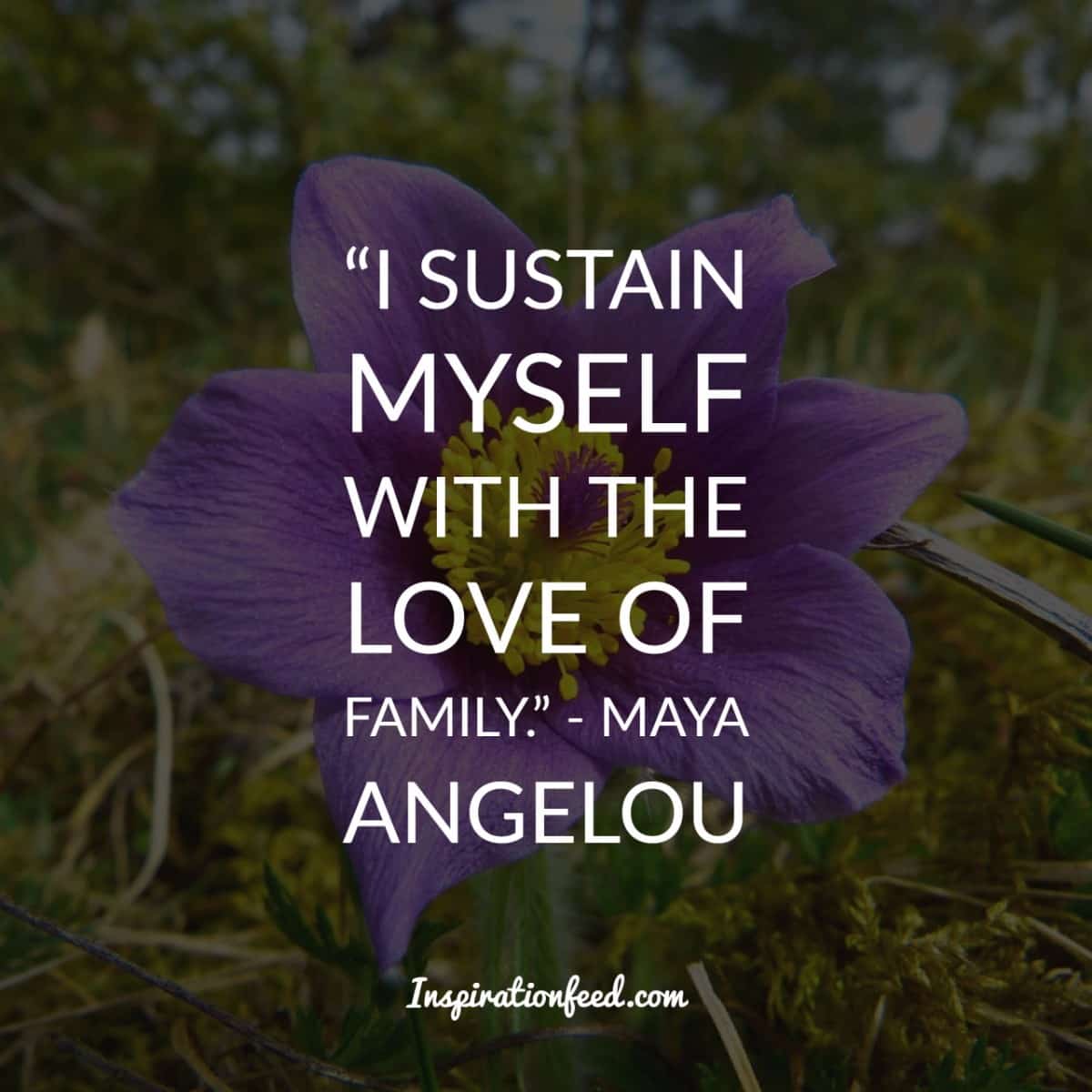 35 Beautiful Quotes That’s All about Family - Inspirationfeed