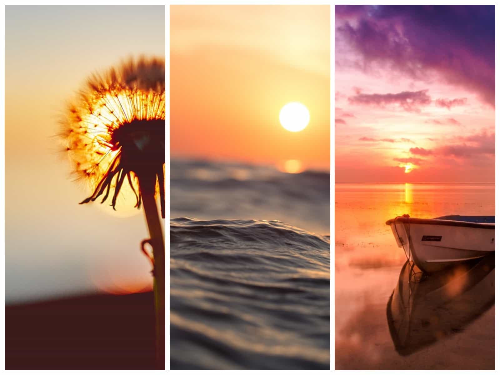 130 Amazing Sunset Quotes That Prove How Beautiful The World Is Inspirationfeed