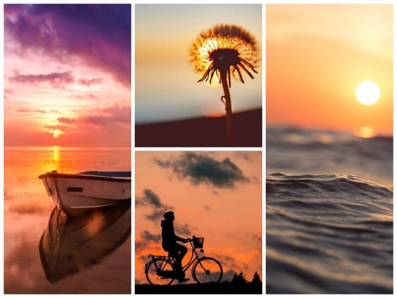 80 Amazing Sunset Quotes That Prove How Beautiful The World Is