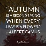 60 Inspiring Fall Quotes and Sayings | Inspirationfeed