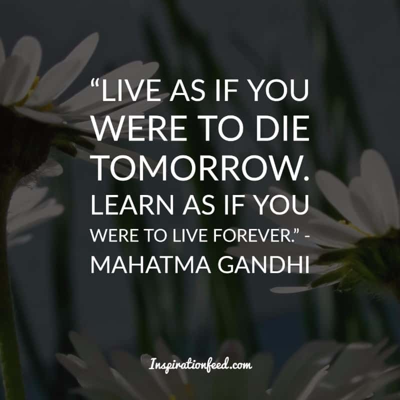 30 Mahatma Gandhi Quotes on Becoming The Change | Inspirationfeed