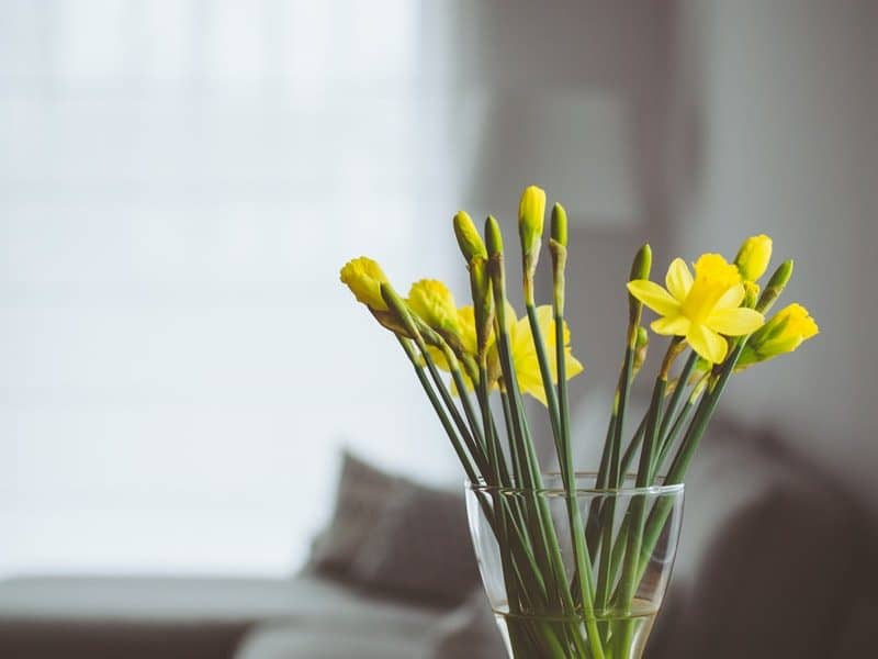 Beautiful Yellow Flowers Inside A Glass Vase Inspirationfeed