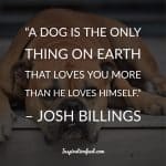 40 of The Best Dog Quotes of All Time - Inspirationfeed