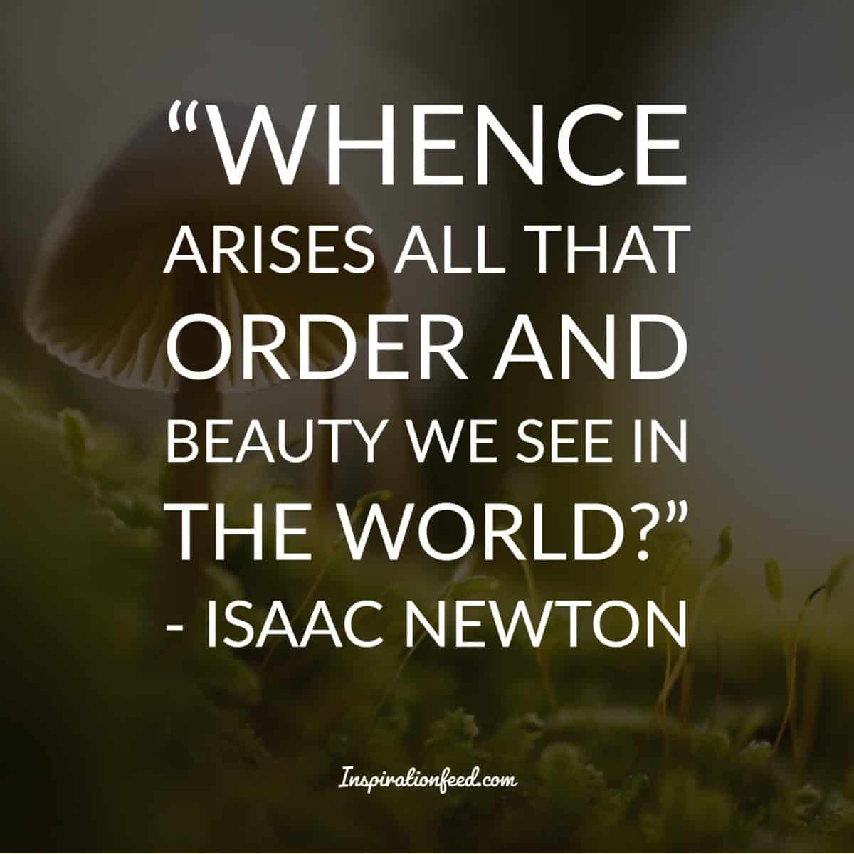 35 Insightful Quotes from The Brilliant Mind Of Sir Isaac Newton