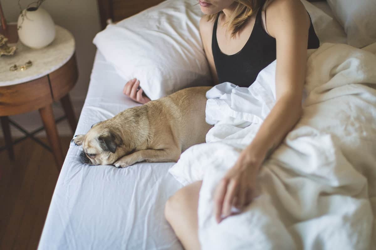 Woman sleeping with her dog in a queen sized bed
