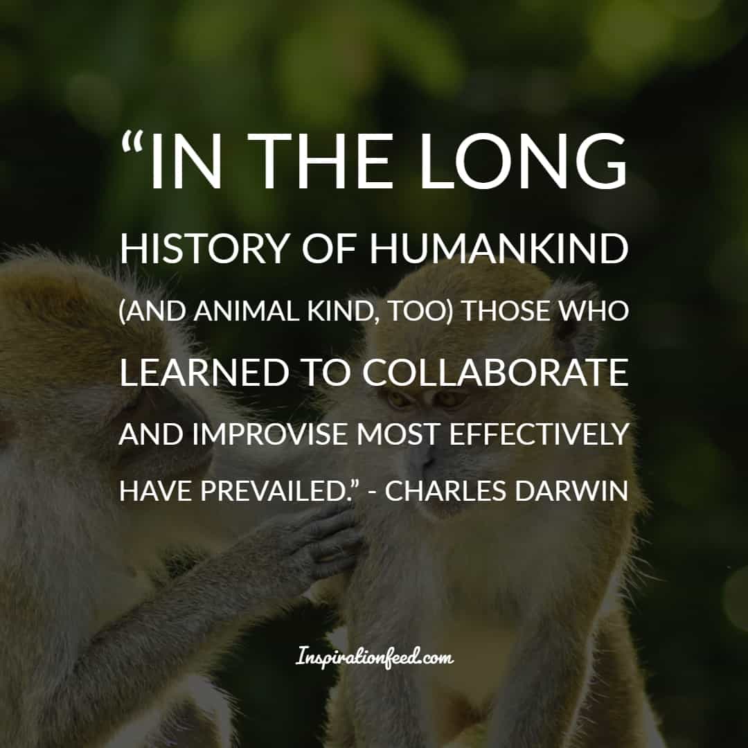 35 Charles Darwin Quotes And Sayings about Life, Survival, and Change ...