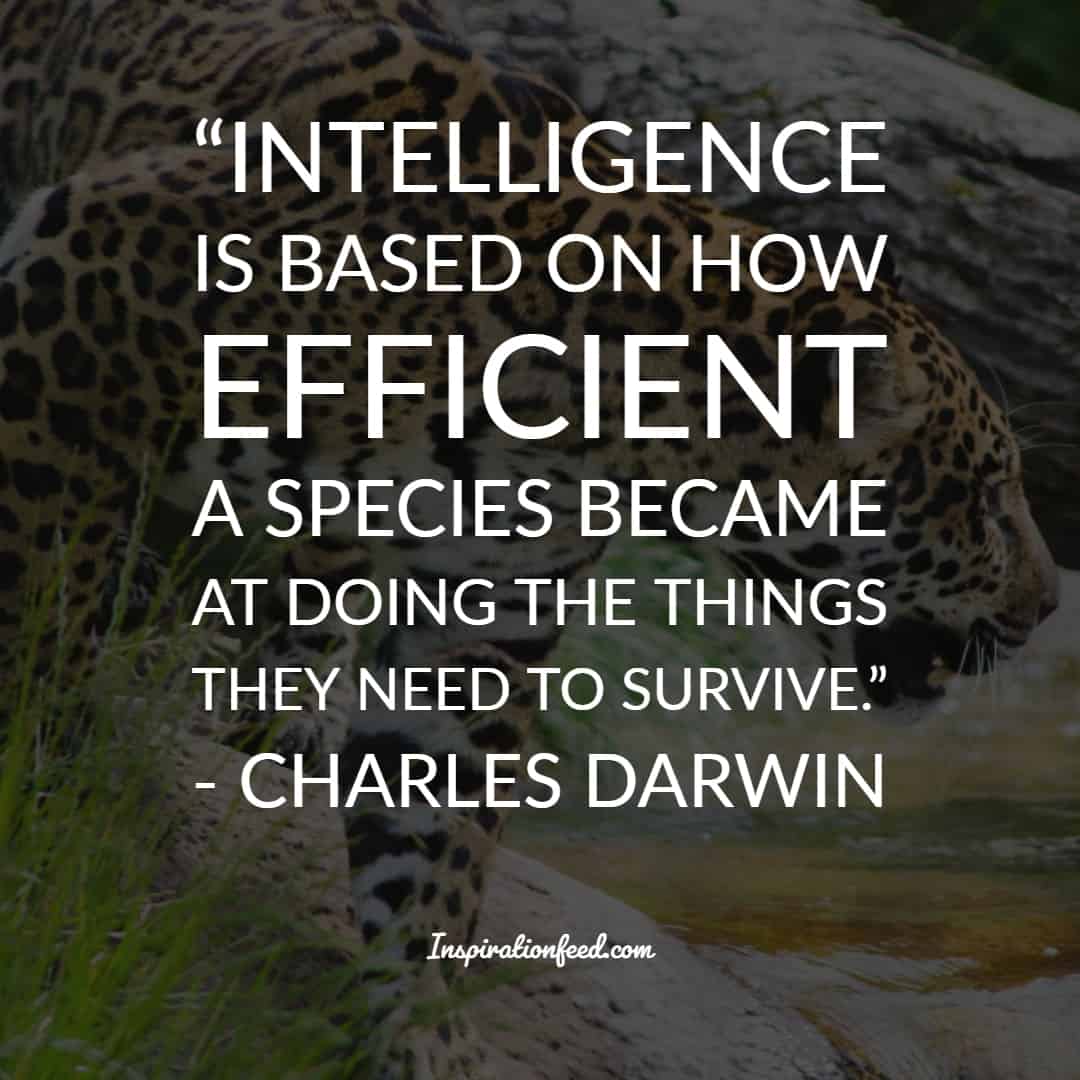 Charles Darwin Quotes (7)-min – Inspirationfeed