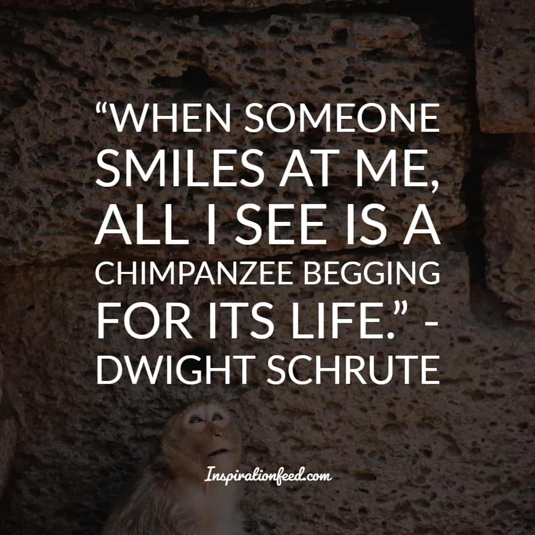 25 of the Funniest Dwight Schrute Quotes To Make You Smile Today
