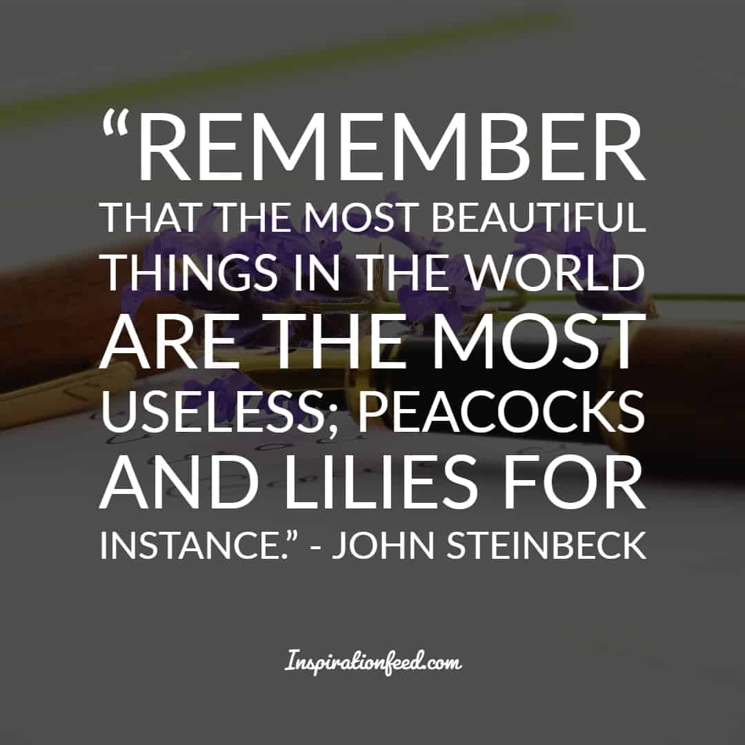 30 John Steinbeck Quotes To Give You a New Perspective On Life