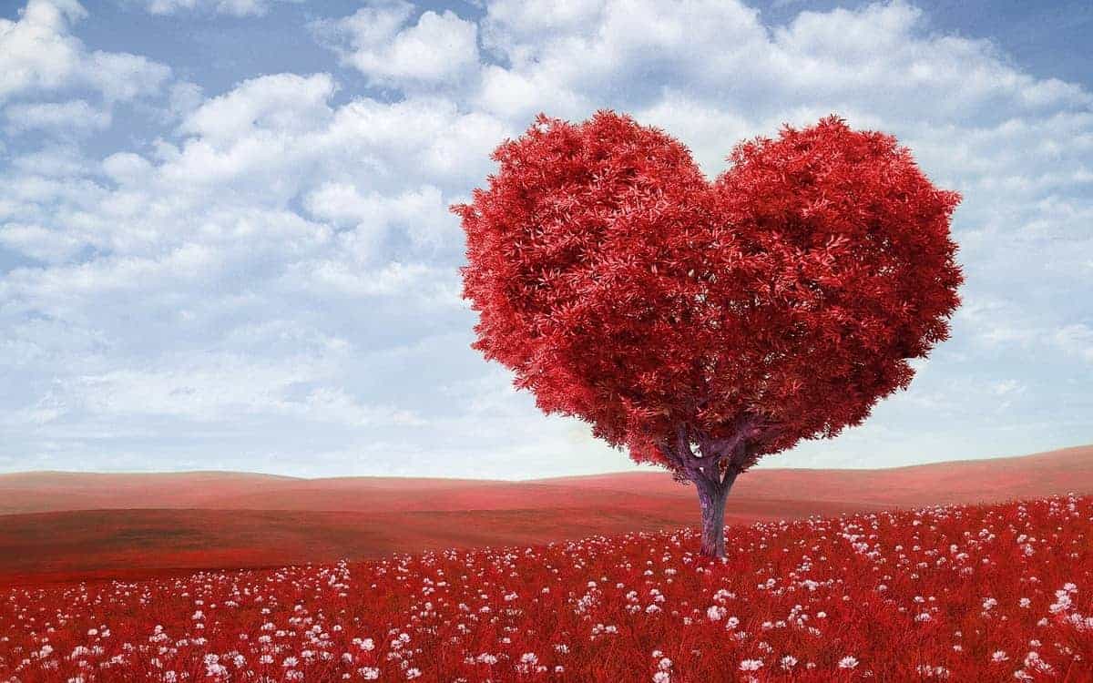 Red tree in a shape of a Heart