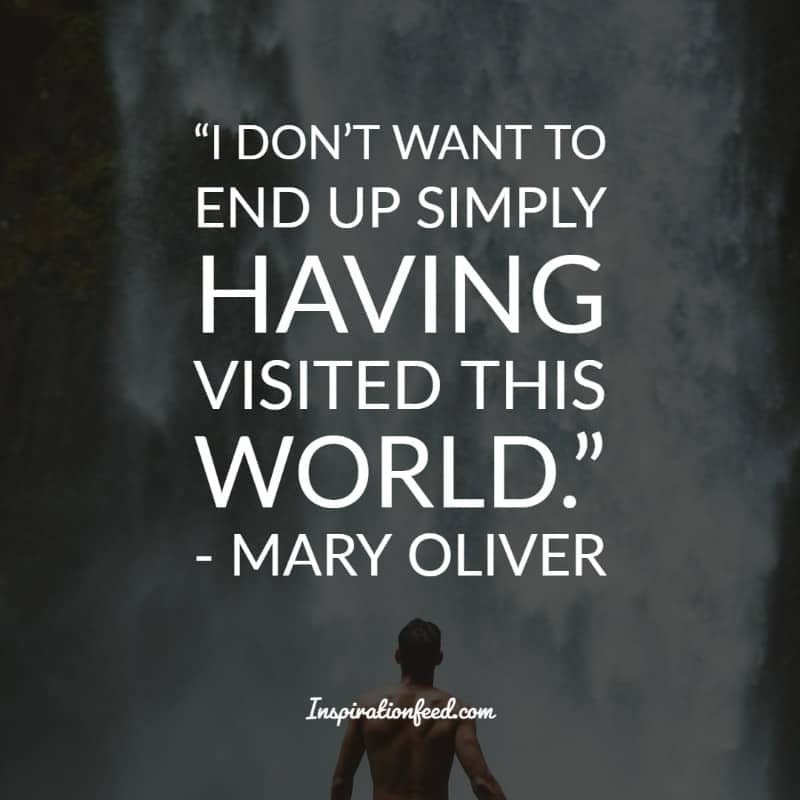 30 Beautiful Mary Oliver Quotes About Life, Love, and Despair ...