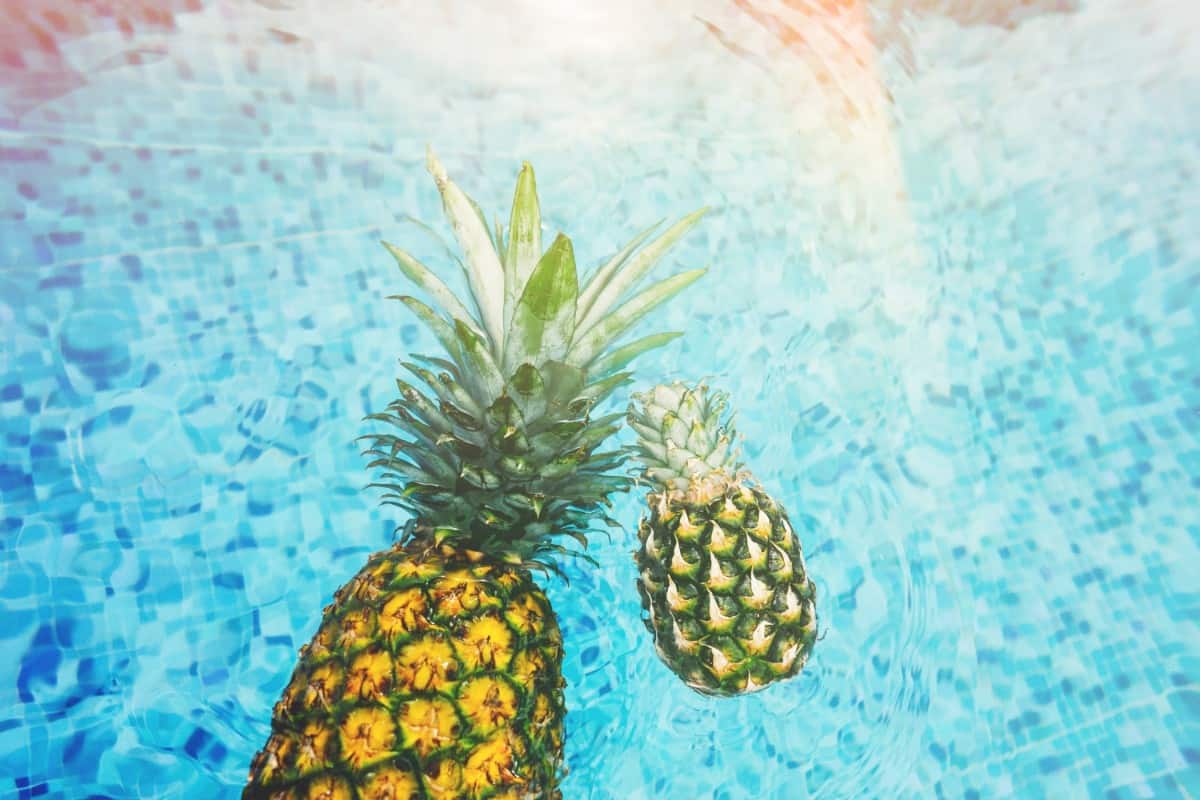 30 of the Sweetest Desktop and Smartphone Pineapple Wallpapers