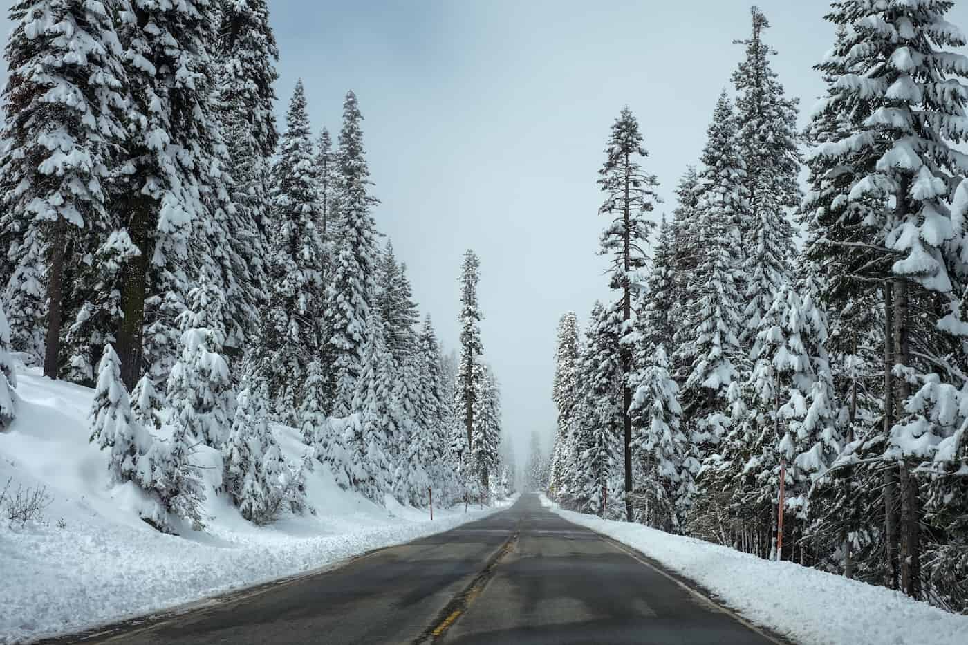 Winter Road Drive