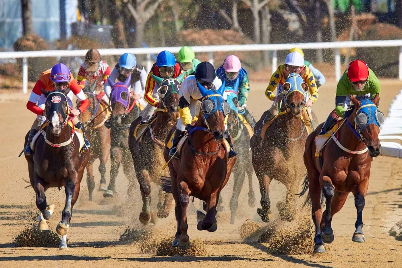 Race Horses Competing During Noon