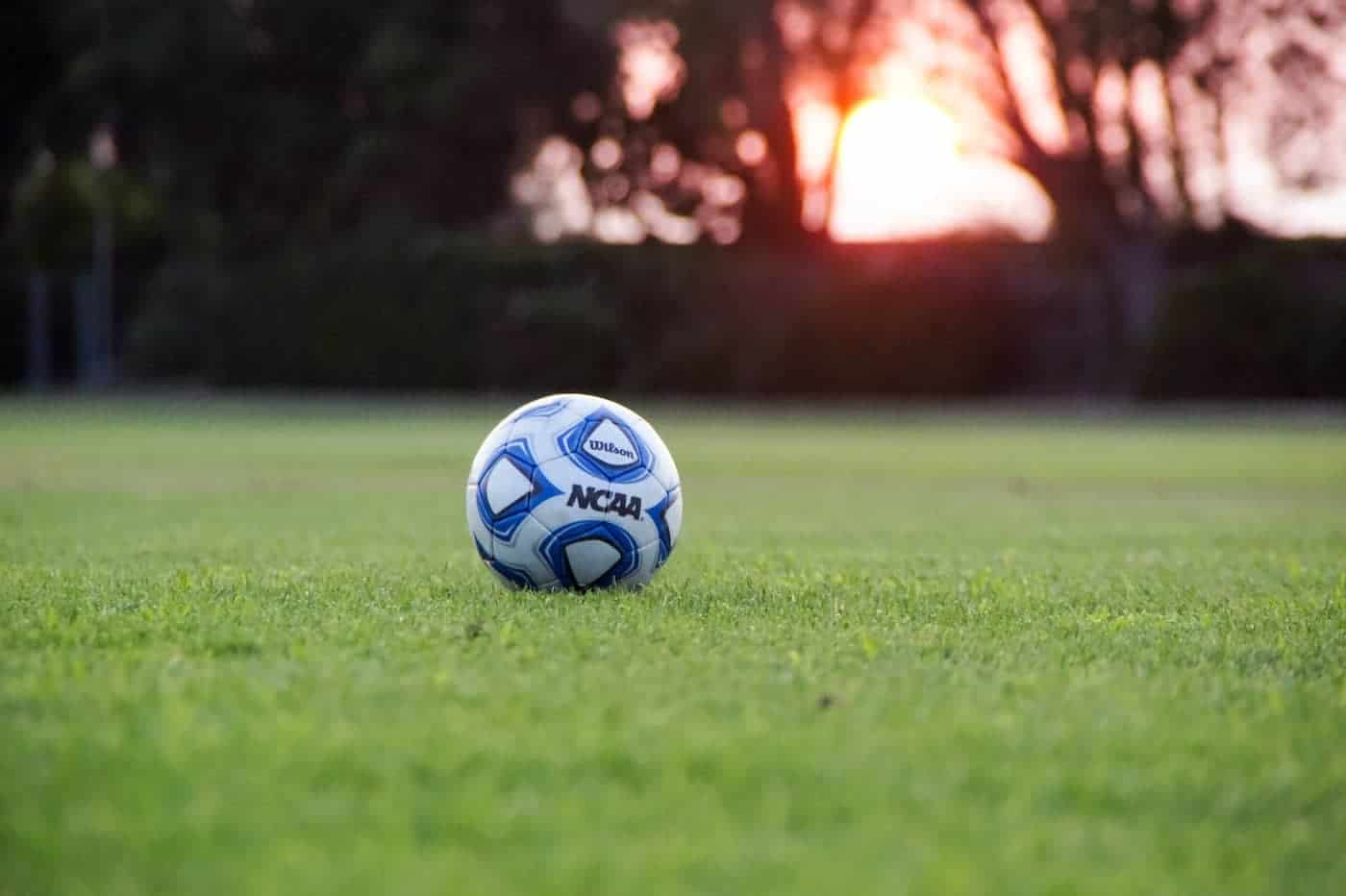 Football Ball in the Grass