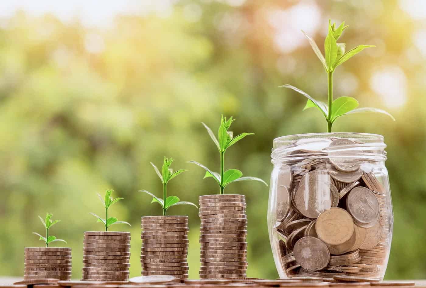 Jar of coins with a plant growing out of it