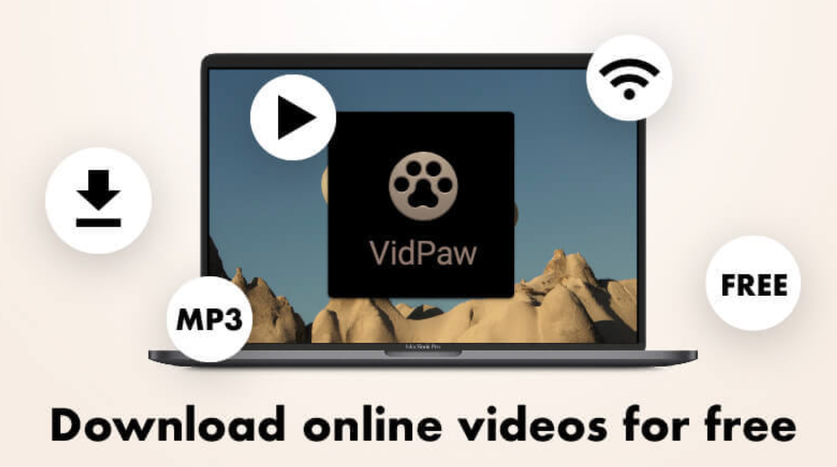online video downloader vidpaw