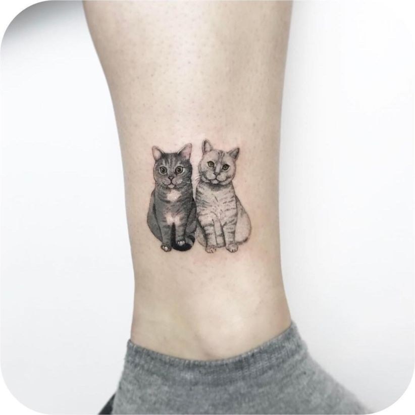 Cat-tattoo