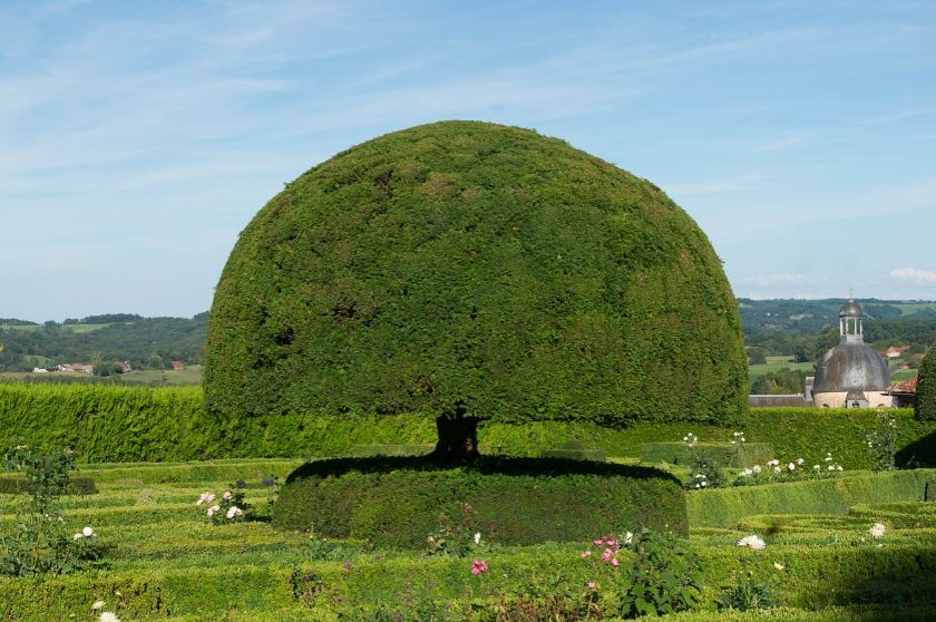 10 Hedge and Shrub Sculptures You Wouldn't Believe