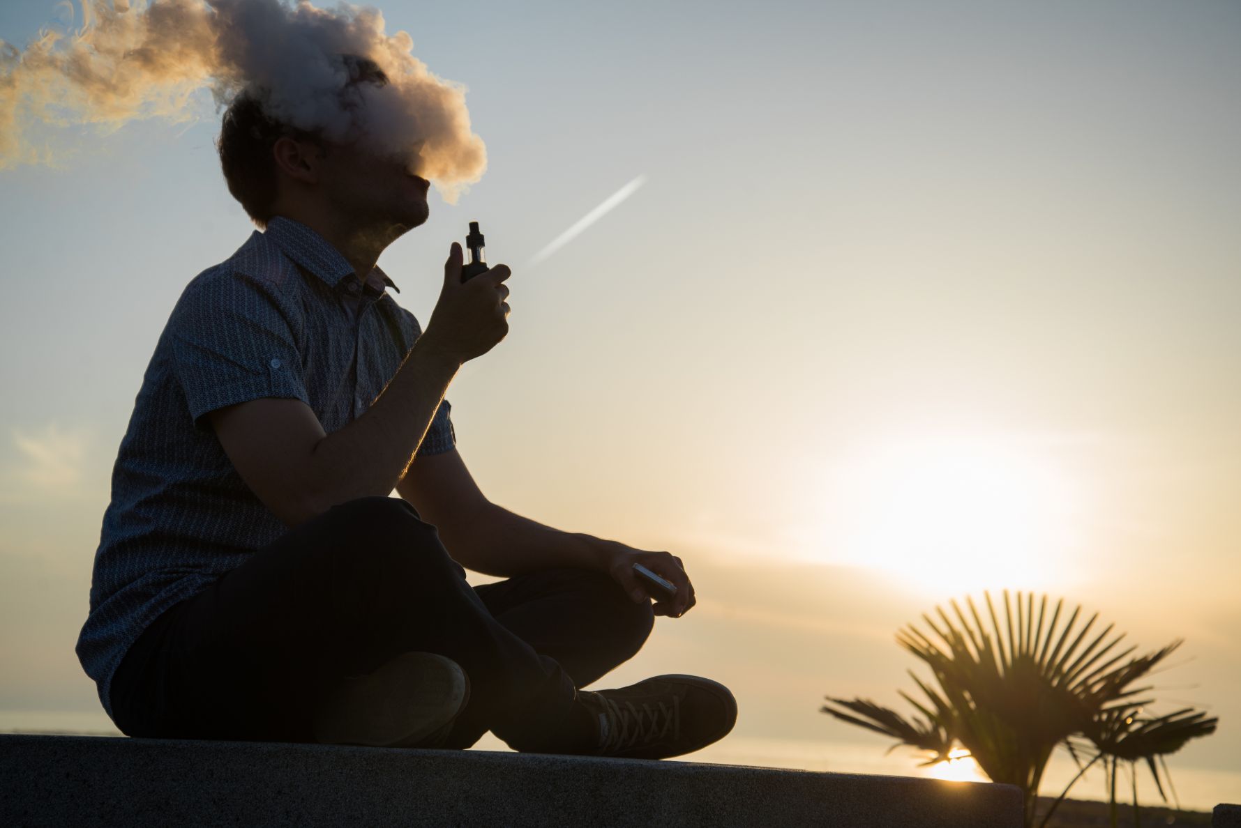 Health and CBD Vaporizer