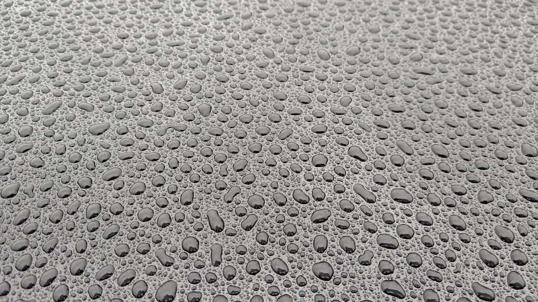 tiny dew drops on a car hood