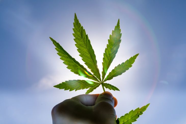 Meet the ten most famous advocates for cannabis use