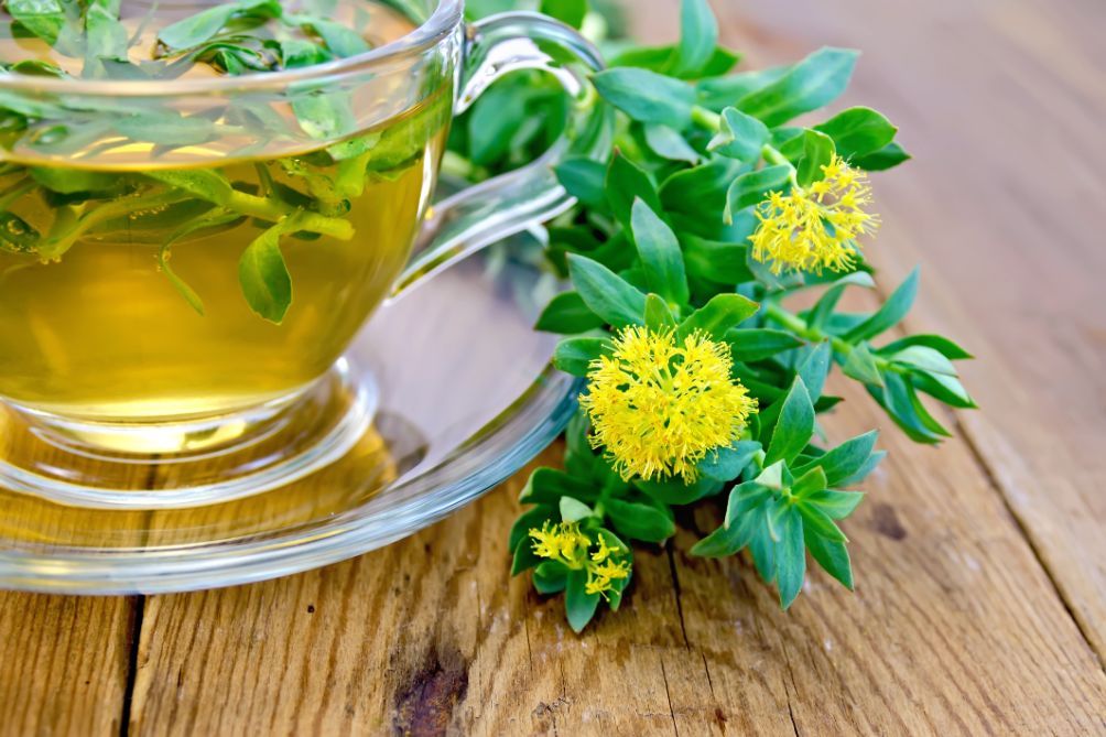 5 Powerful Health Benefits From Using Rhodiola Rosea