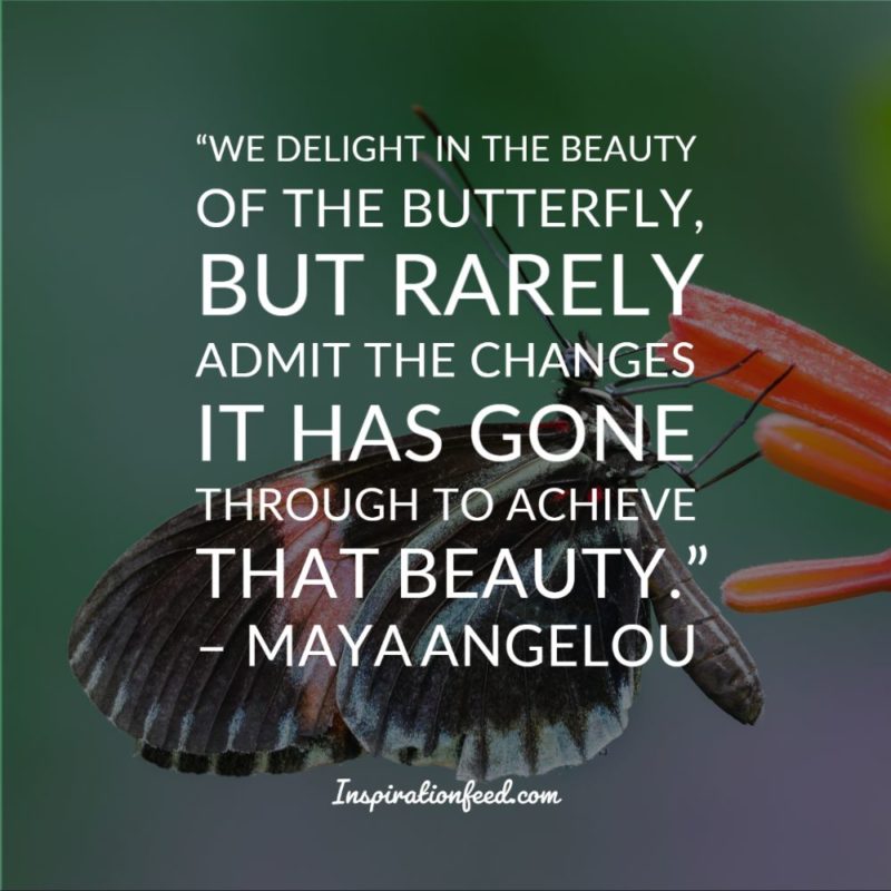 129 Beautiful Maya Angelou Quotes To Empower You Inspirationfeed