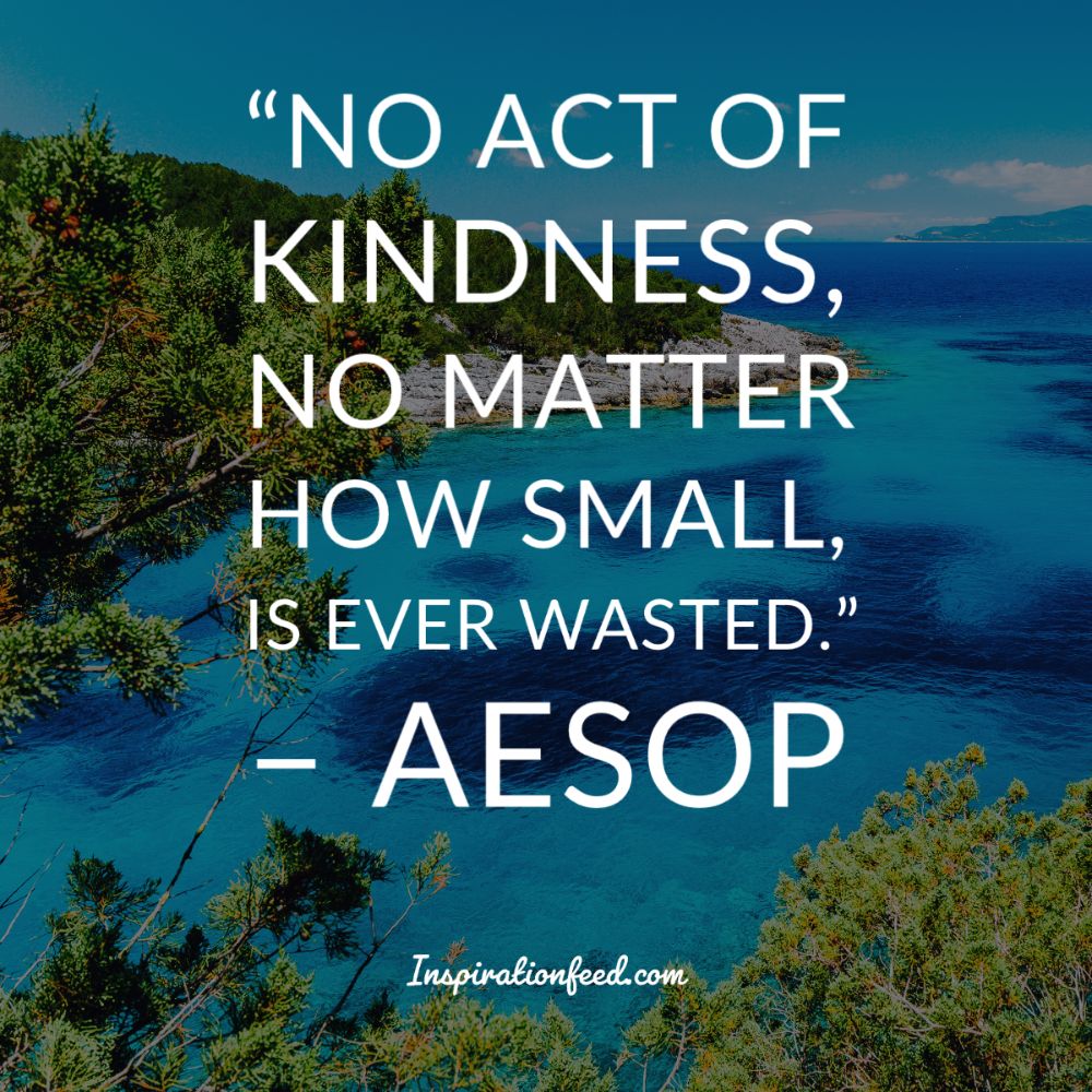 90 Quotes To Inspire You To Practice Kindness | Inspirationfeed