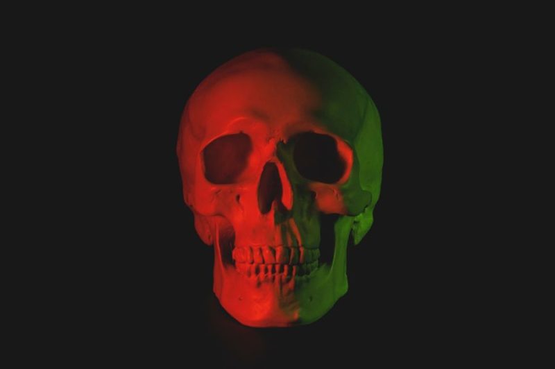 22 Badass Hd Skull Wallpapers Inspirationfeed