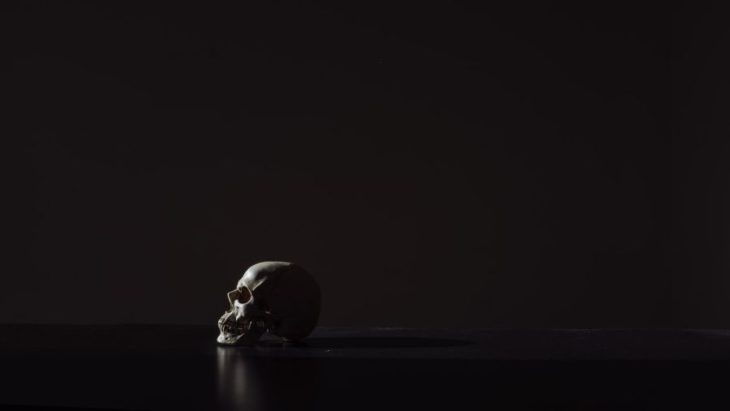 21 Badass HD Skull Wallpapers and Backgrounds | Inspirationfeed