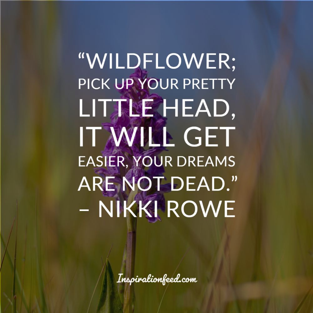 40 Self-Love Quotes to Inspire You - Inspirationfeed