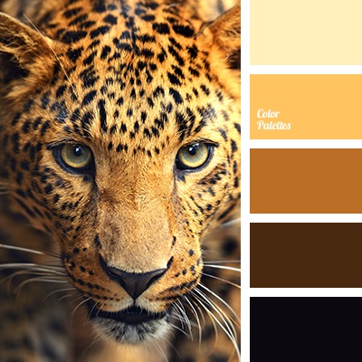 color combinations