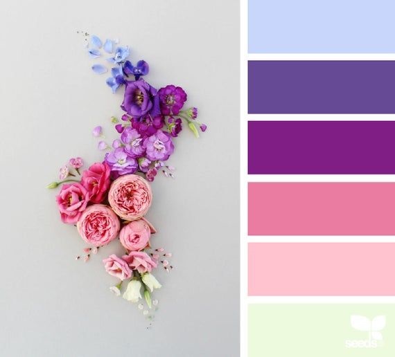 color combinations