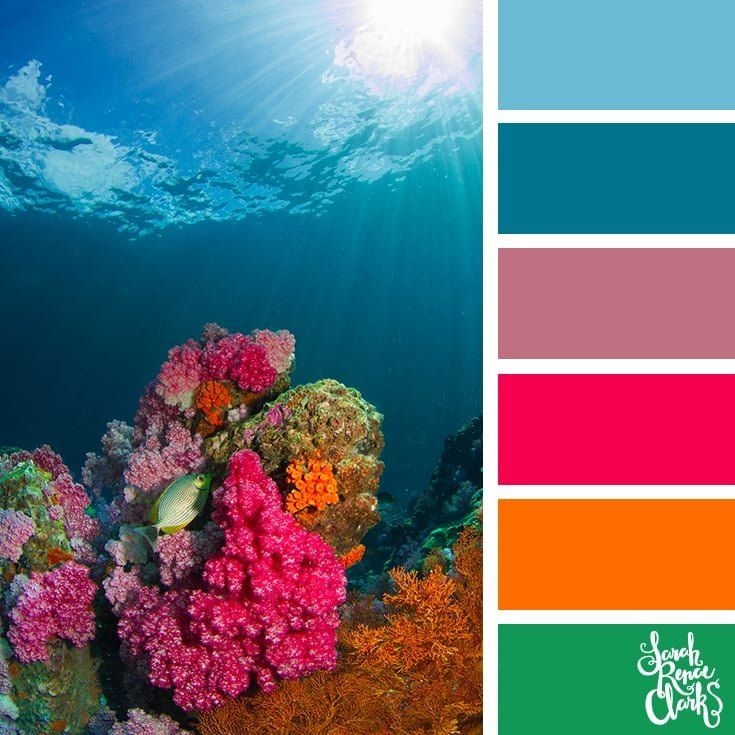 color combinations