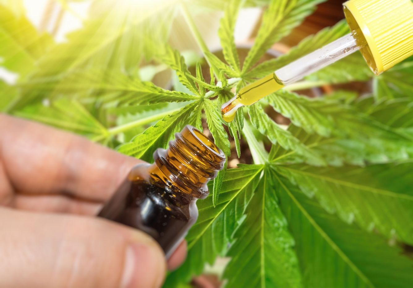 Why CBD Lab Testing is More Important than Ever