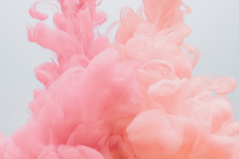 Free Pink Wallpapers