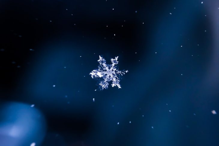 the snowflake generation