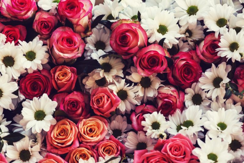 85 Quotes About Flowers Inspirationfeed