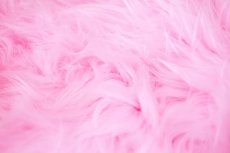 Free Pink Wallpapers