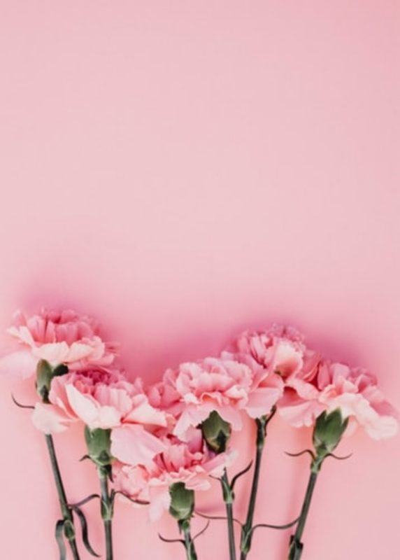 Free Pink Wallpapers