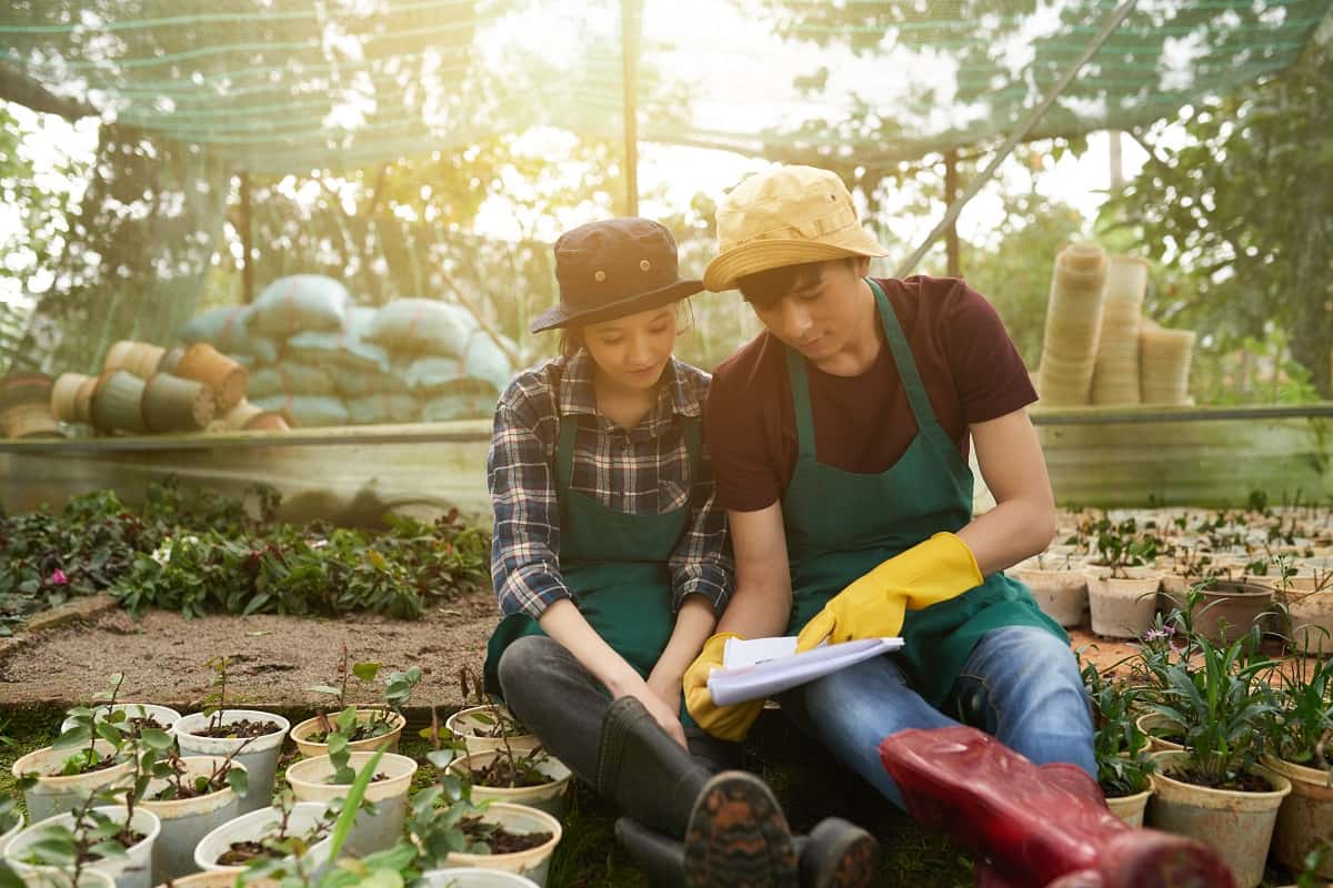 Learning new about gardening