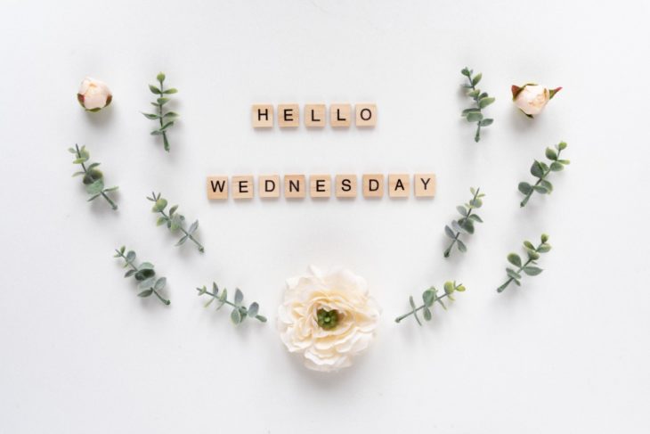 wednesday quotes