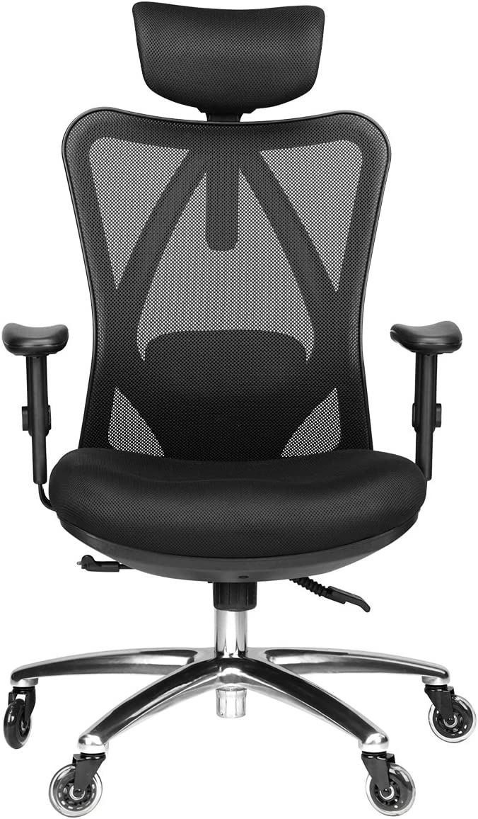 Duramont Ergonomic Adjustable Office Chair with Lumbar Support and Rollerblade Wheels