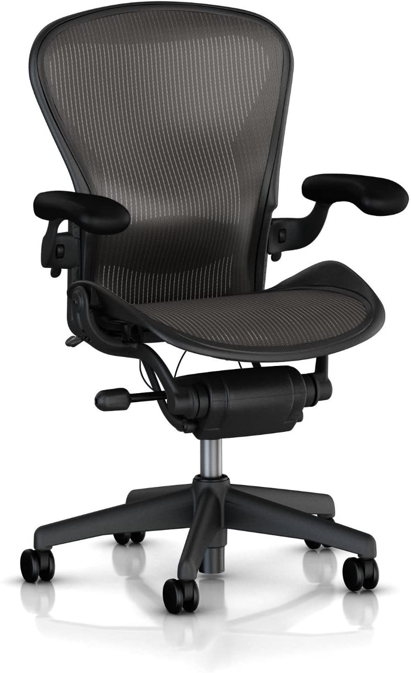 Herman Miller Executive Size B Lumbar Support Aeron