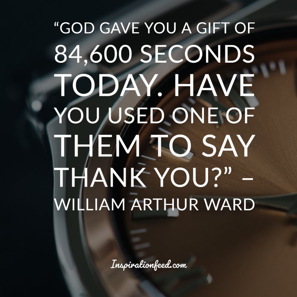 100 Gratitude Quotes to Bless Your Life