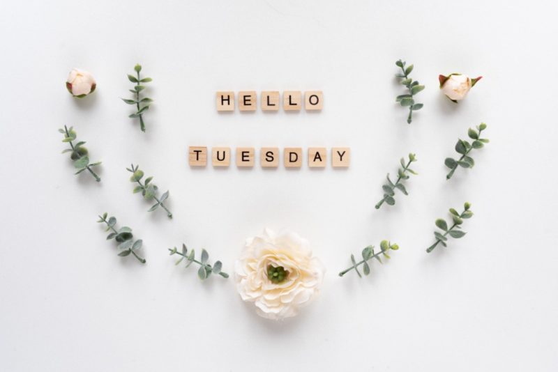80 Positive Tuesday Quotes to Lift Up Your Mood | Inspirationfeed