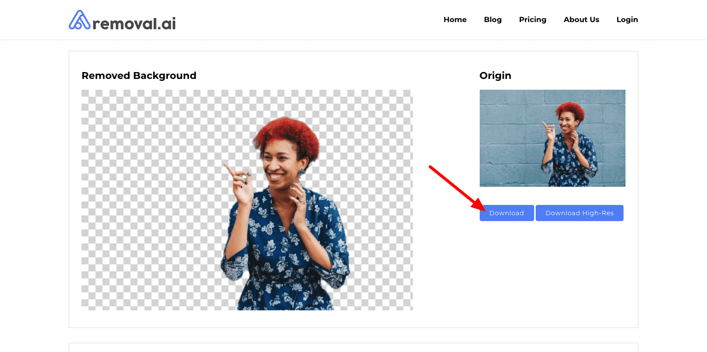 11 Tools to Help You Remove Background from Any Image | Inspirationfeed